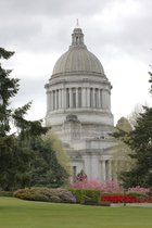 Site wastatecapitol1